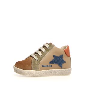 Falcotto